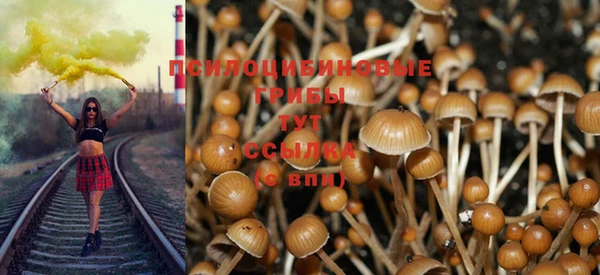 меф Алексин