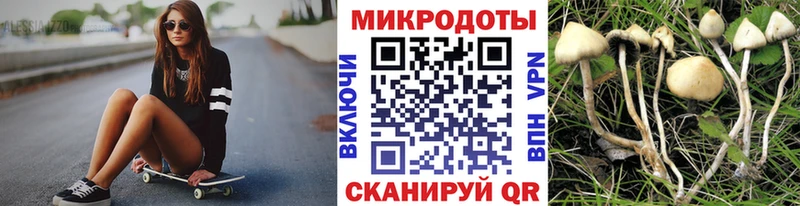 Галлюциногенные грибы Psilocybine cubensis  сколько стоит  Мышкин 